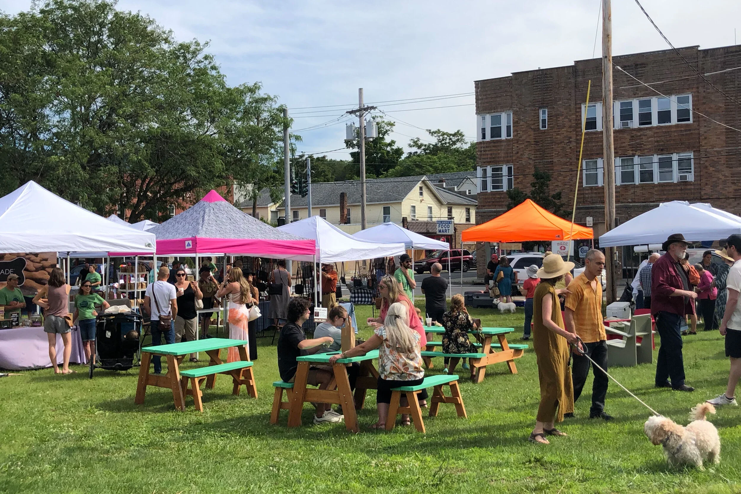 Coalition of Forward-Facing Ellenville x Juniper