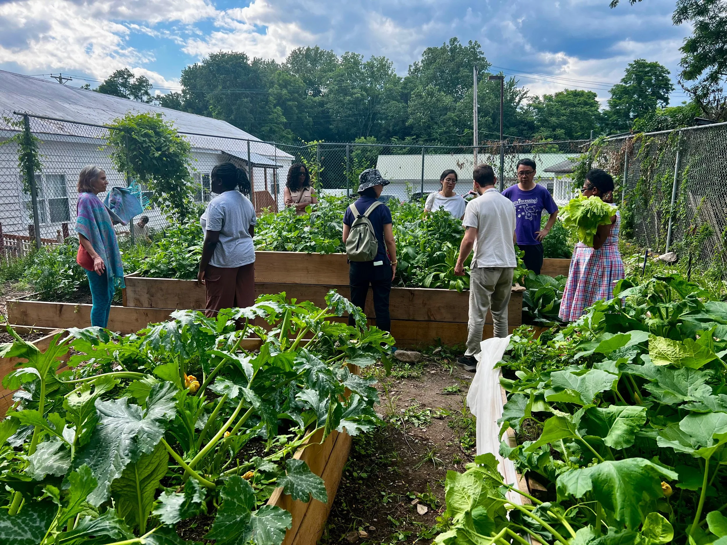 Garden Harvest and Educational Workshop