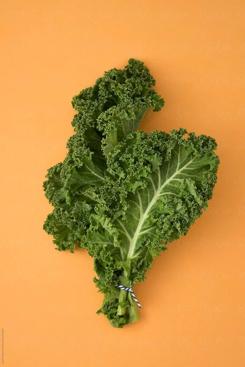 The Wonders of Kale… 