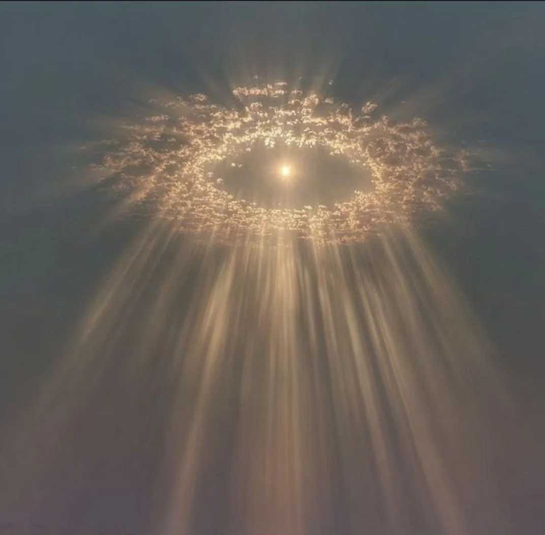 Friend &amp; Family Opening  Celebration 