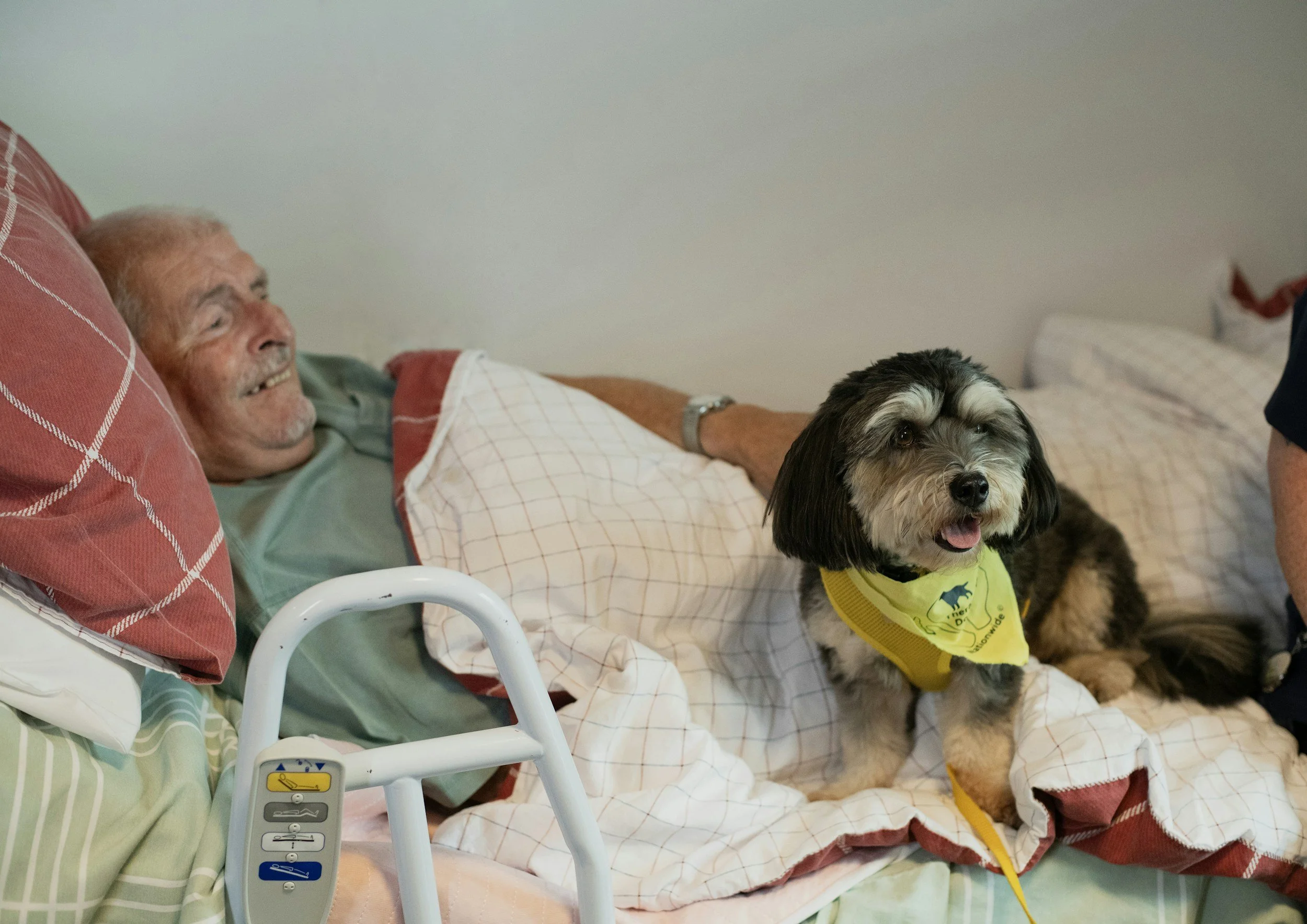 An elderly man lying in a hospital bed smiling, with a black and gray dog wearing a yellow bandana sitting on the bed next to him. The man is covered with a plaid blanket, and there is a walker near his bed.