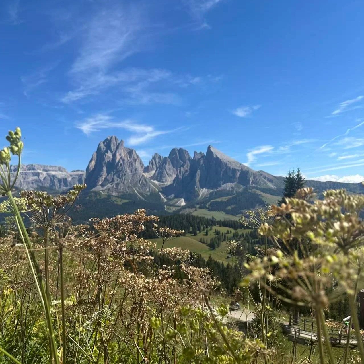 Reminder: You still have until March 2, 2026 to make RRSP contributions that can be claimed on your 2025 tax return. 