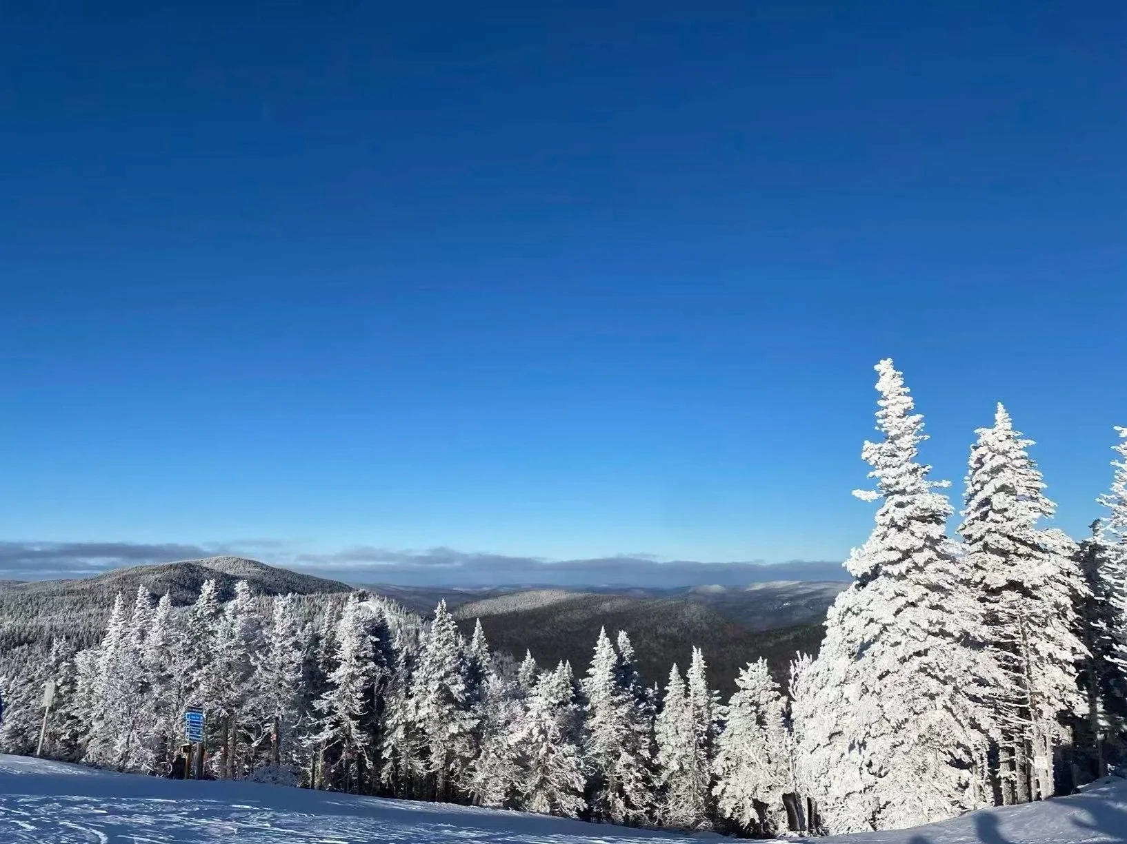 Tax Guide for International Students Studying in Canada