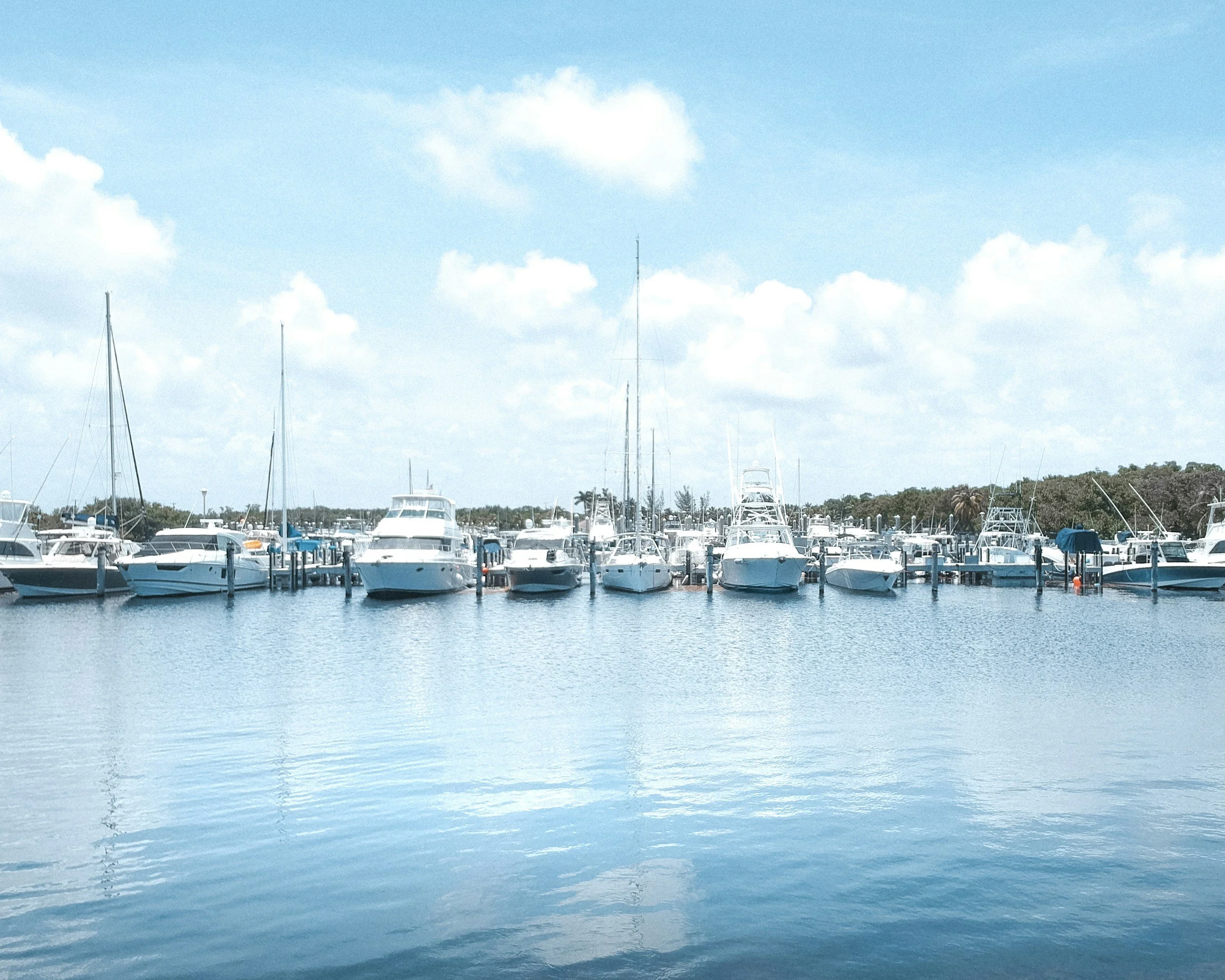 dockCheck Marina with multiple white boats docked in calm water, clear blue sky with scattered clouds in the background.