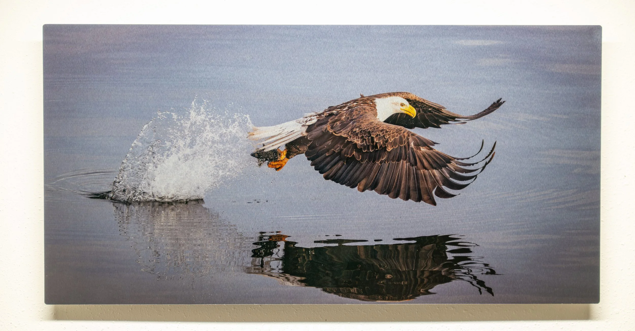 The Launch Clear Base.jpg