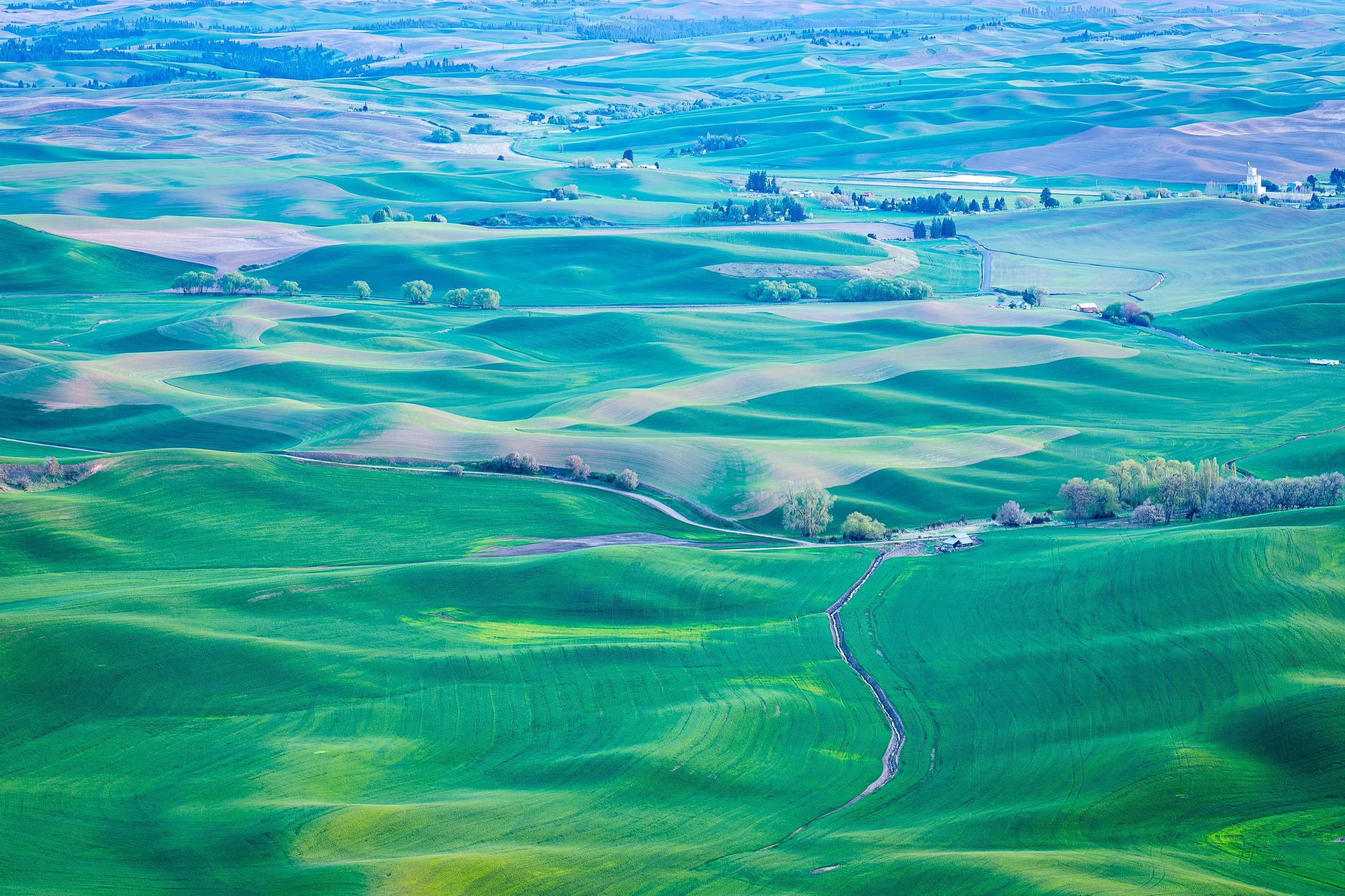 Springtime on the Palouse