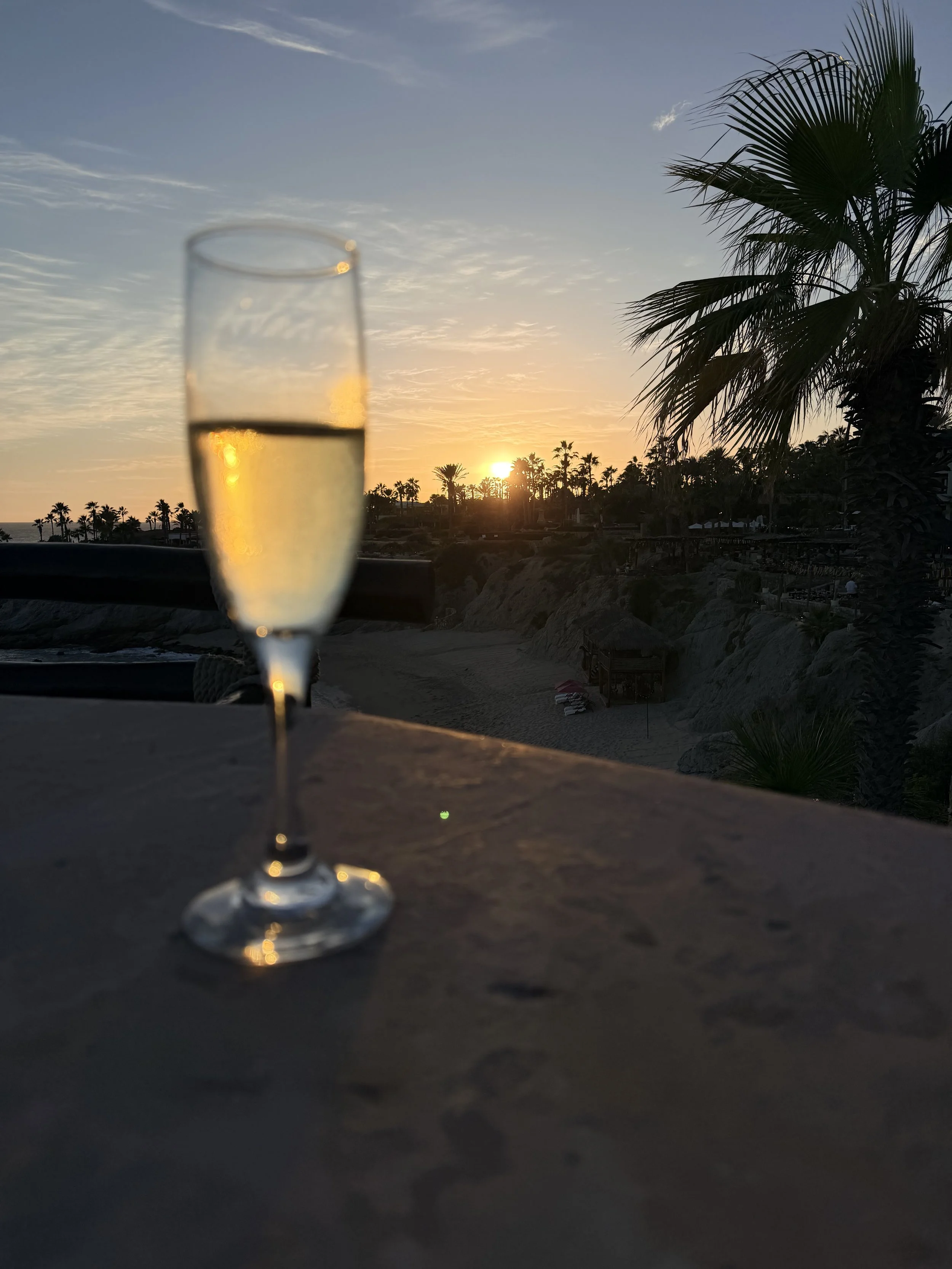 Champagne flute raised against a breathtaking tropical sunset with palm trees, celebrating a milestone event styled by Obsidian Opal Events