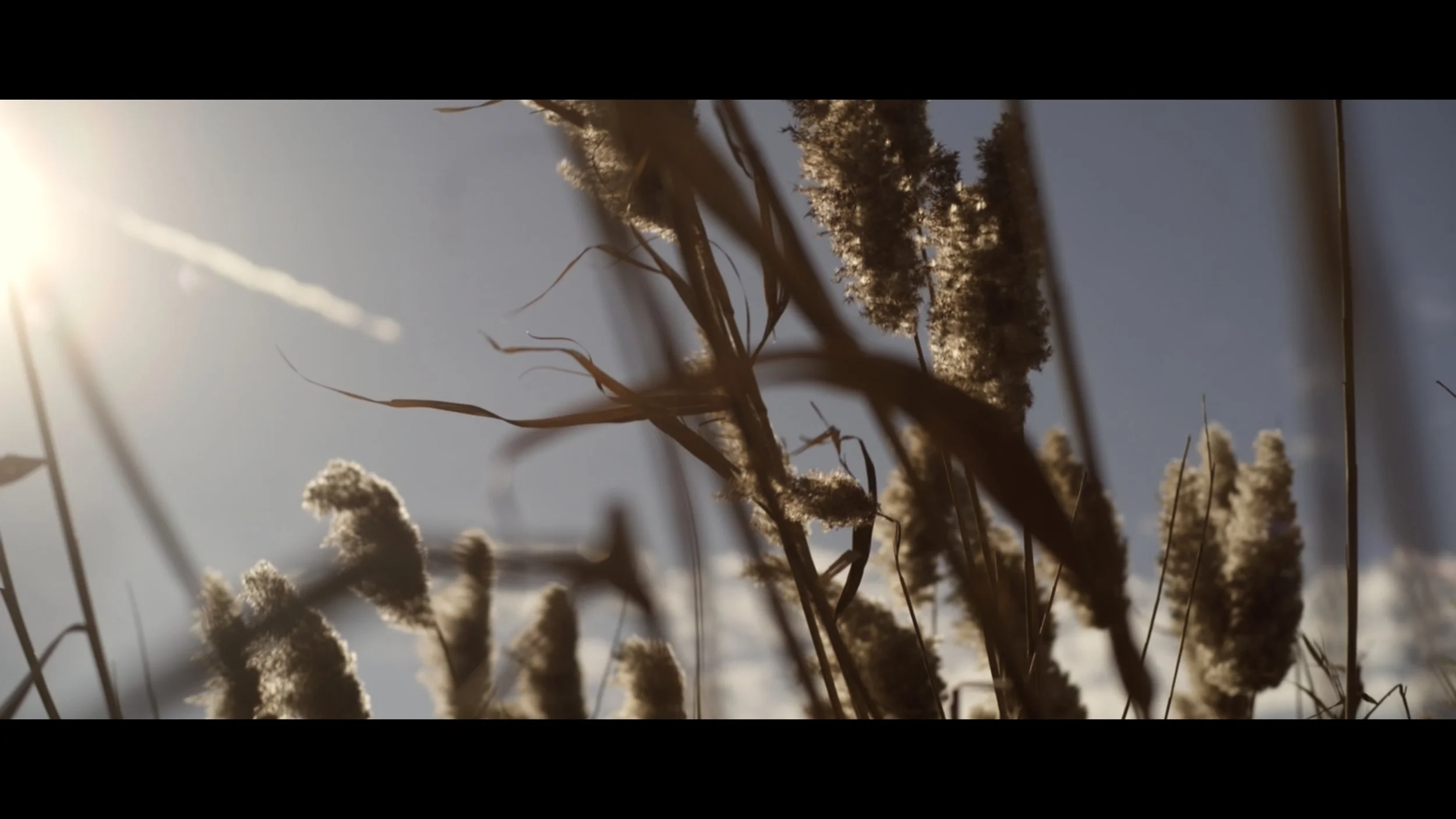 ChasingJuneStills_1.6.1.jpg