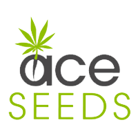 Logo of Ace Seeds with a green cannabis leaf above the text 'ace SEEDS' in black and green letters.