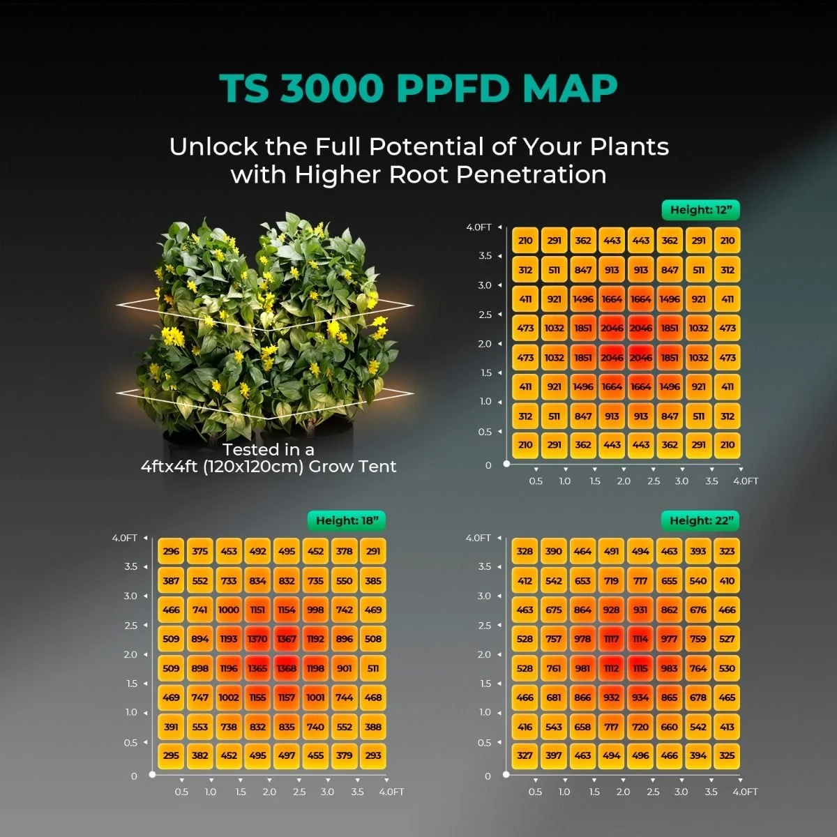 mars_hydro_ts3000_led_ppfd_map.jpg