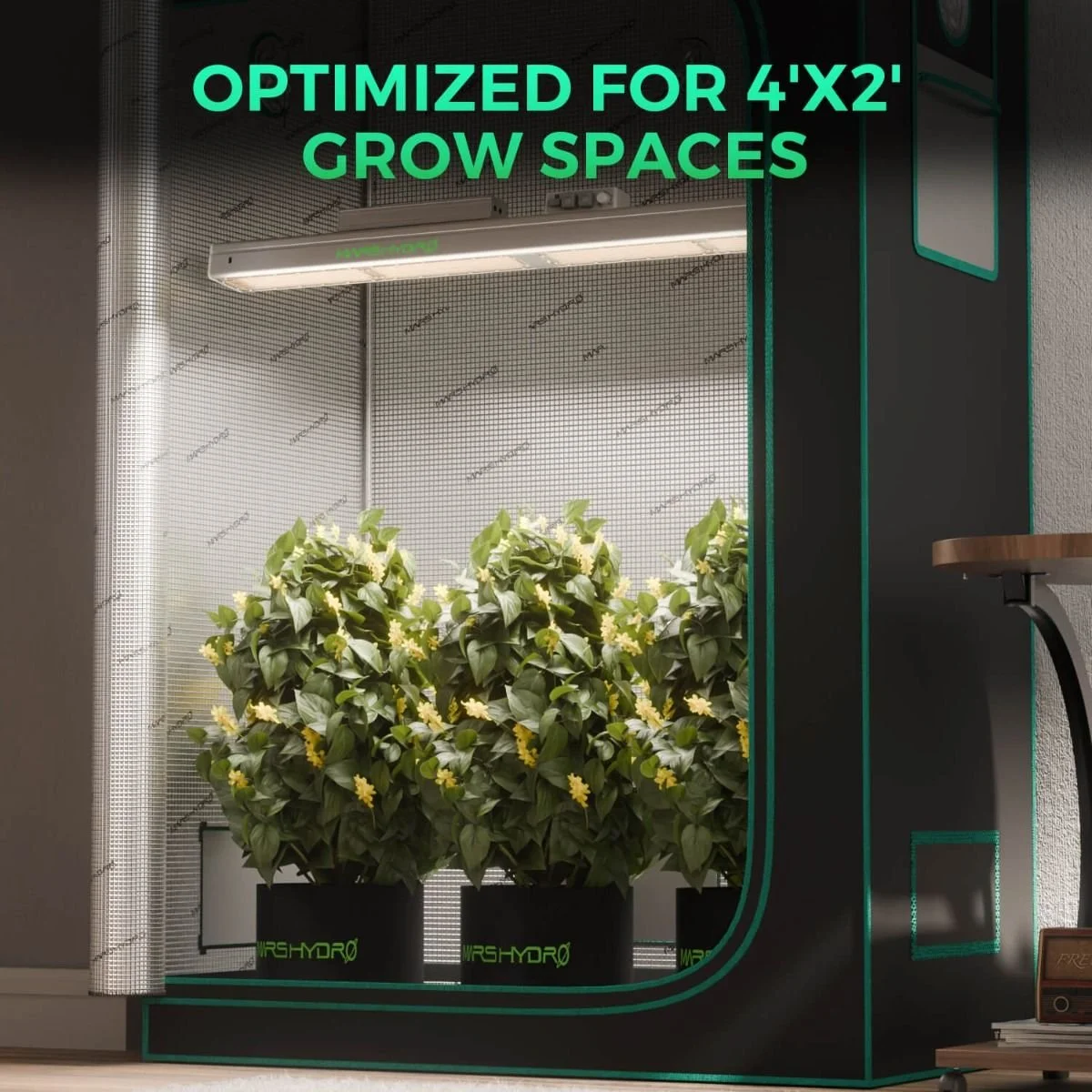 mars_hydro_sp3000_optimized_for_4_x2_grow_spaces.jpg