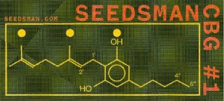 Seedsman CBG #1 Feminized Seeds.jpg