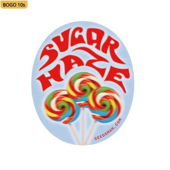 Sugar Haze Regular Seeds