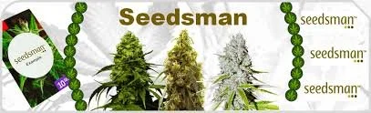 Seedsman cannabis seed packaging with images of three cannabis plants and the Seedsman logo.