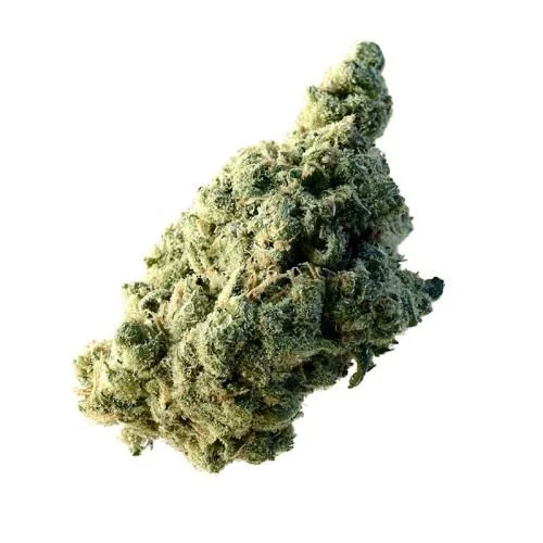 Lemon Ice - 5-pack - Feminized - Amsterdam Genetics
