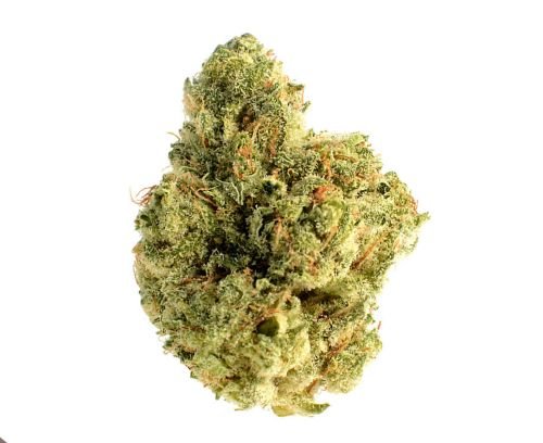 Skywalker Saga - 5-pack - Feminized - Amsterdam Genetics
