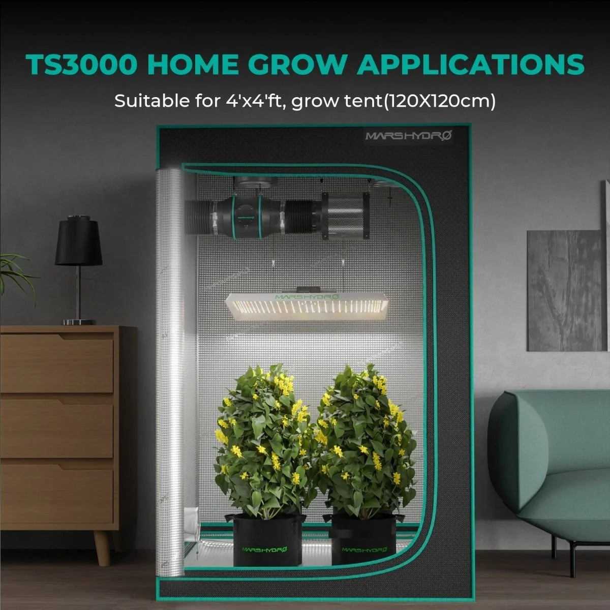 mars_hydro_update_ts3000_indoor_grow_application.jpg