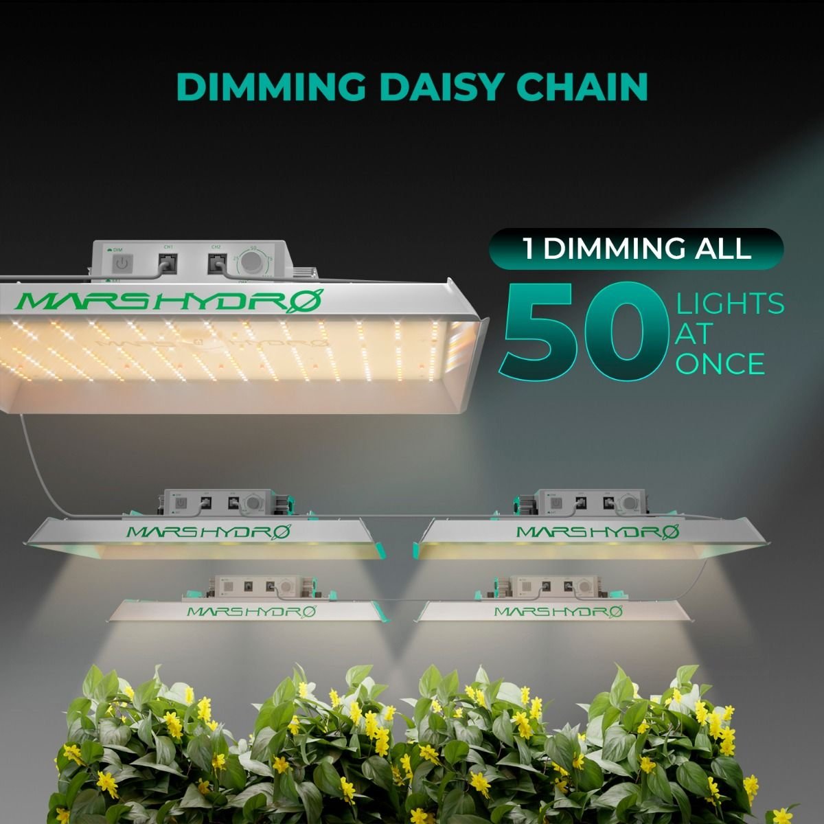 mars_hydro_ts1000_dimming_daisy_chain.jpg