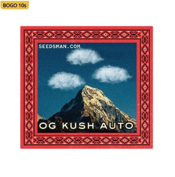 OG Kush Auto Feminized Seeds