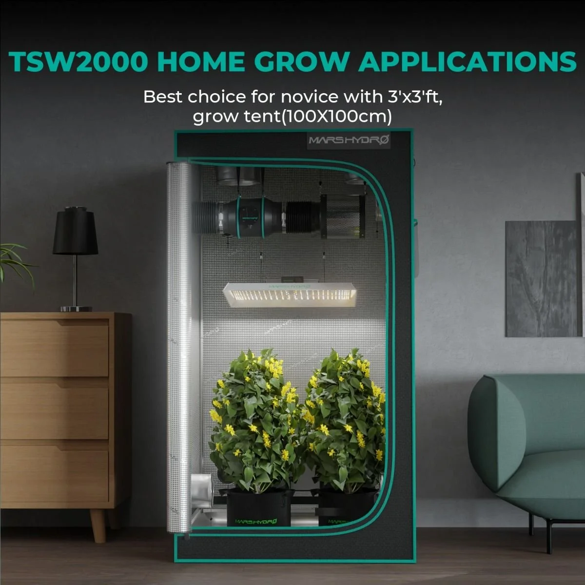 mars_hydro_update_tsw2000_indoor_grow_application.jpg