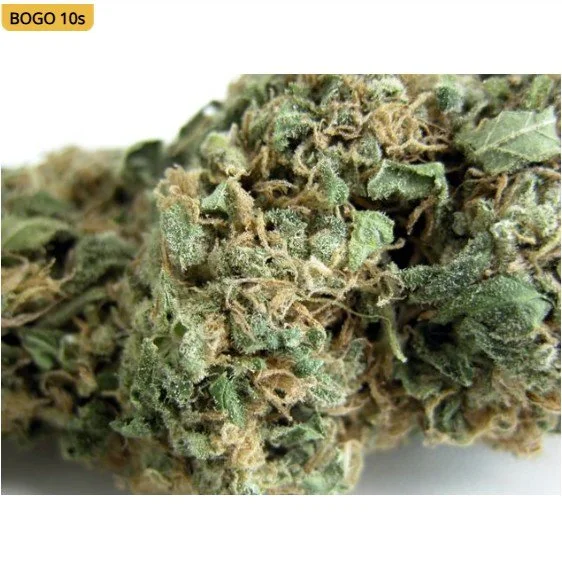 Original Skunk #1 Regular Seeds