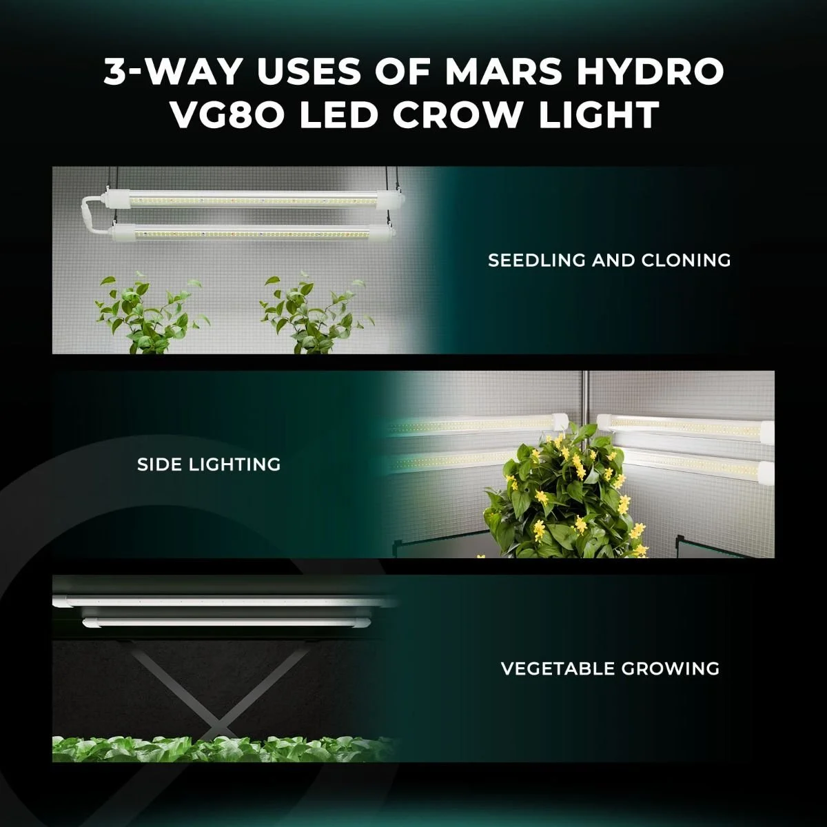 mars_hydro_vg80_3-way-uses.jpg