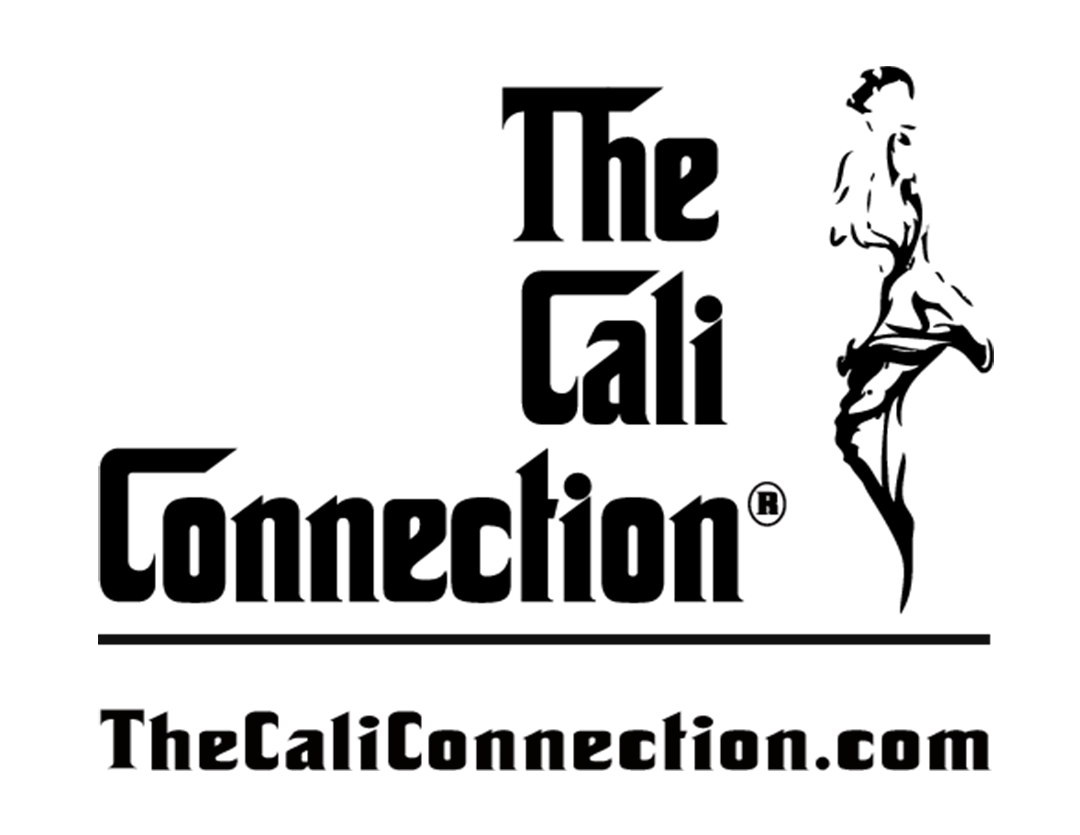 Silhouette of a person working at a desk with books and a computer.