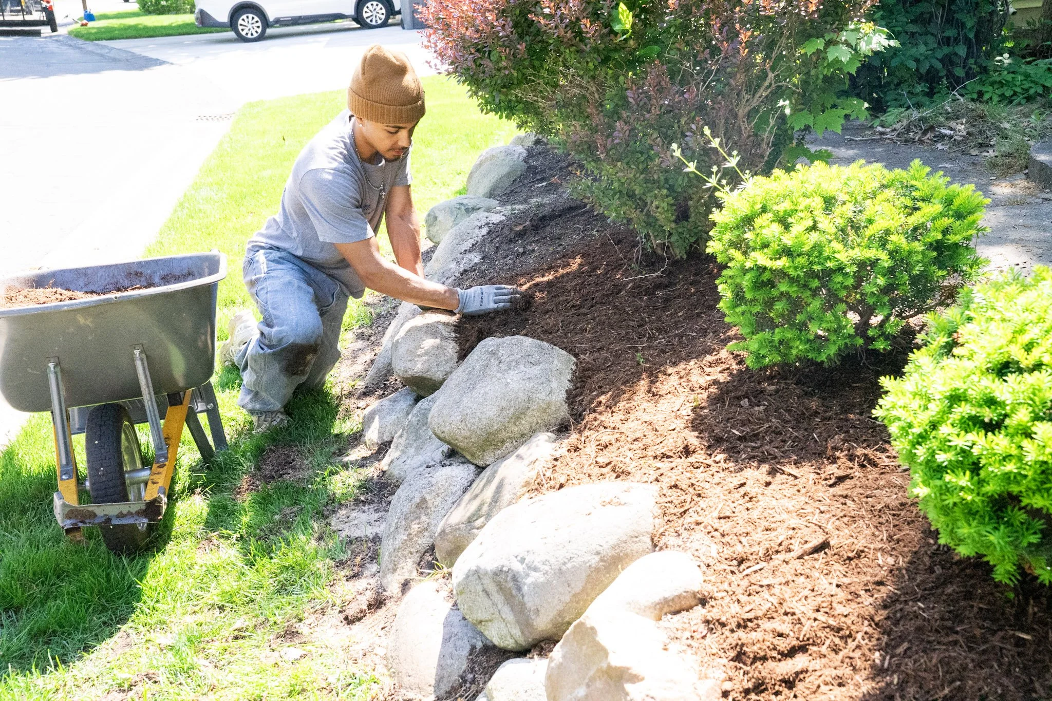 Royle Exterior team member planting or transplanting a shrub into a landscaped area with rocks and mulch, while wearing gloves and a brown beanie on a sunny day.