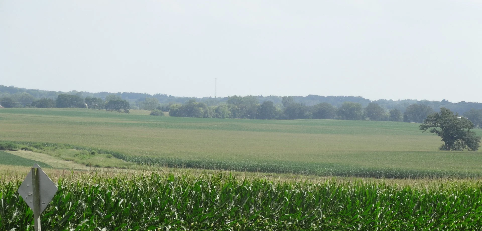 "Without a vision, the people perish," the Bible says. We realize that beneath the noise in our culture, many in our local community need us to have a vision of ample food, adequate housing, loving care, and other blessings that God wants shared.