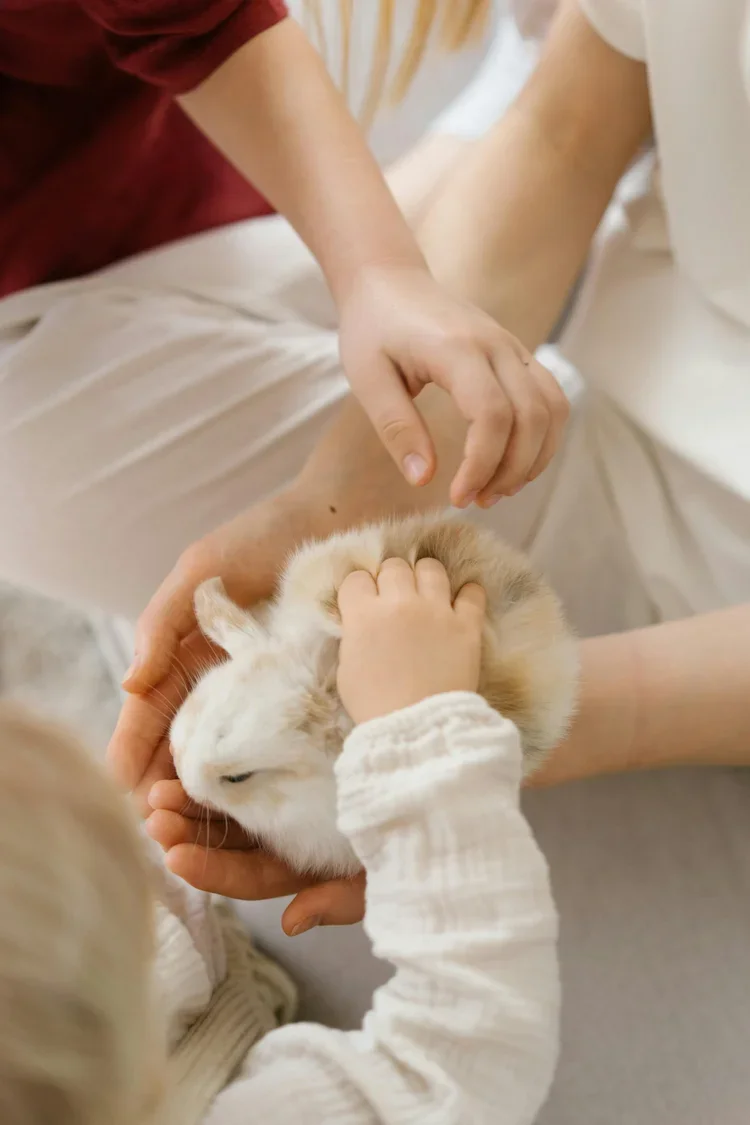 A Hoppin’ Hands-On Bunny Camp!!