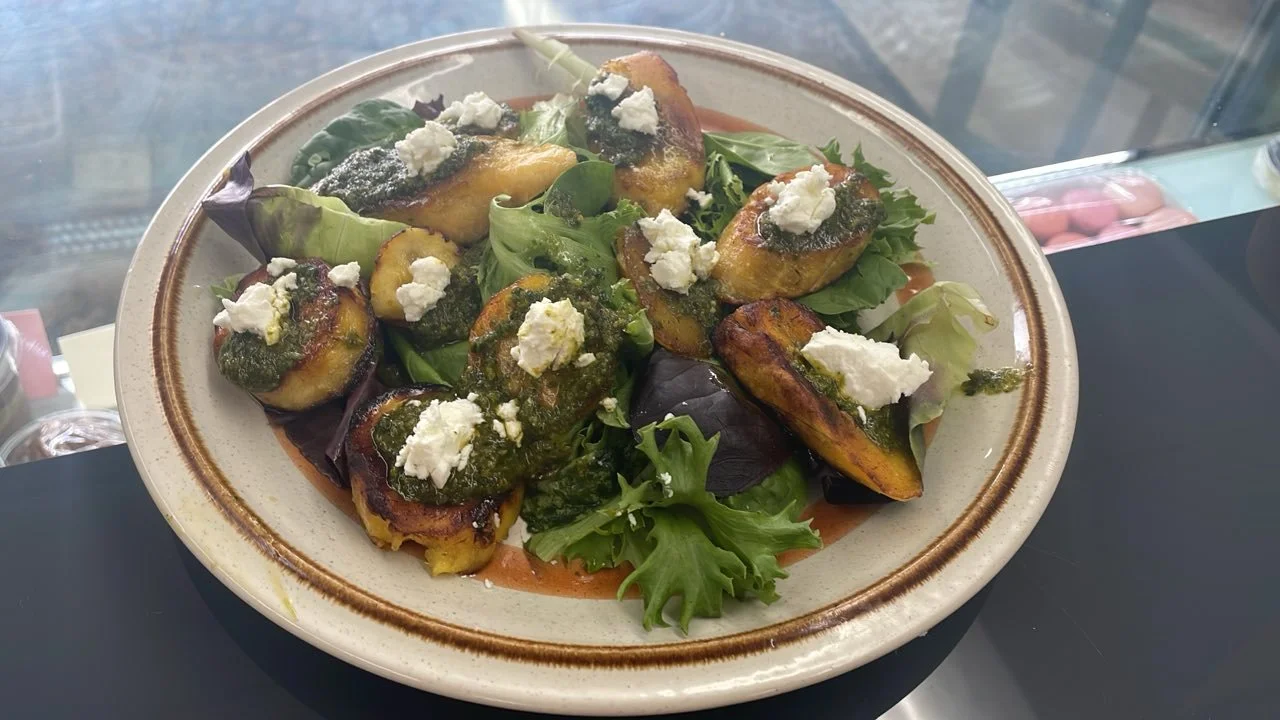 Grilled zucchini slices topped with cheese and green sauce on a bed of mixed greens salad.