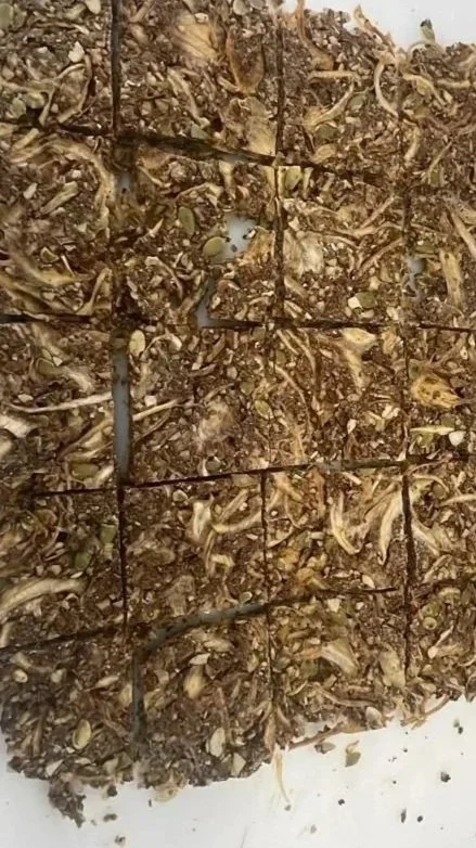 Flaxseed crackers with herbs and onions.