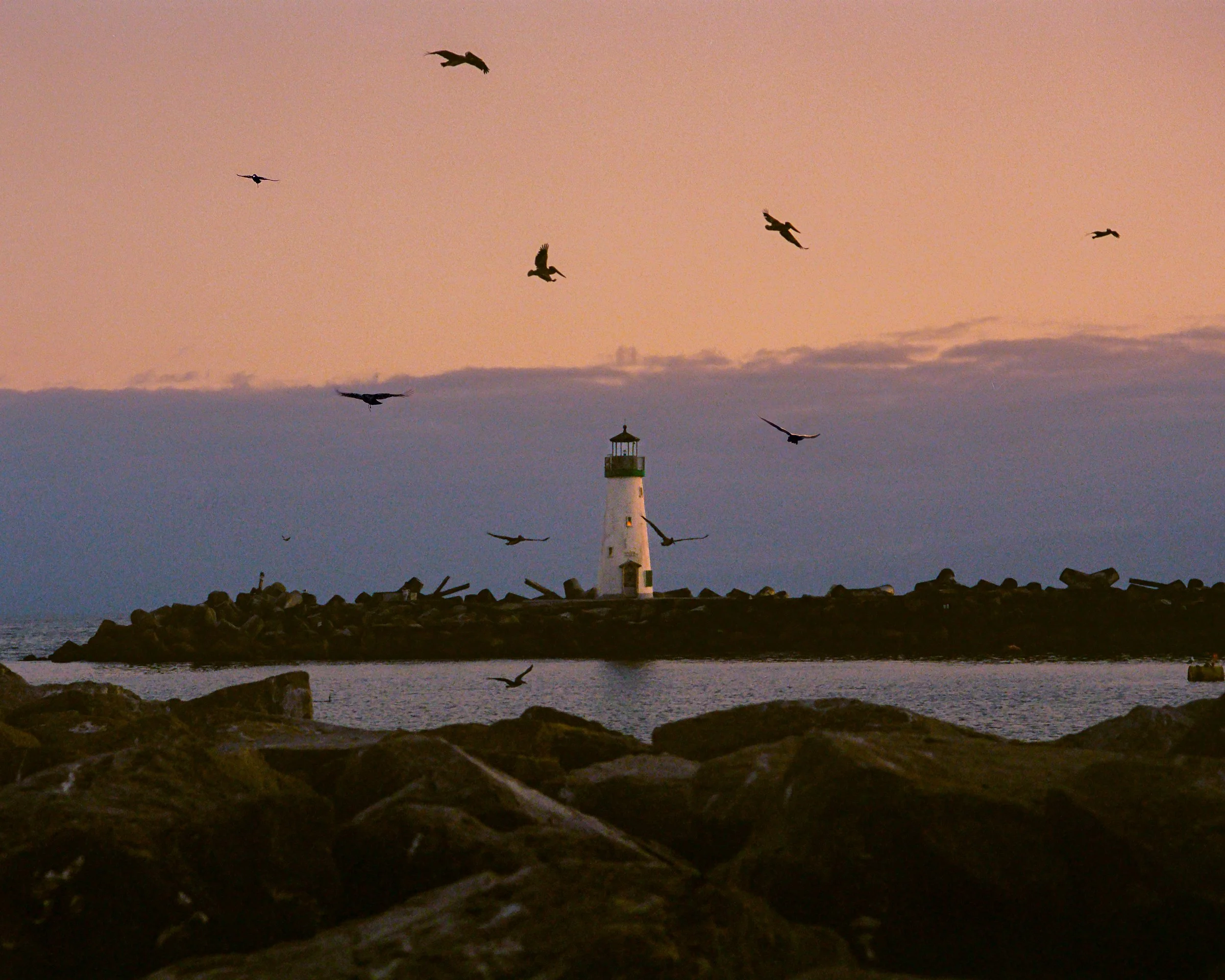 kodak_professional_portra_400_04_26_2025_000225330034-Edit copy.jpg