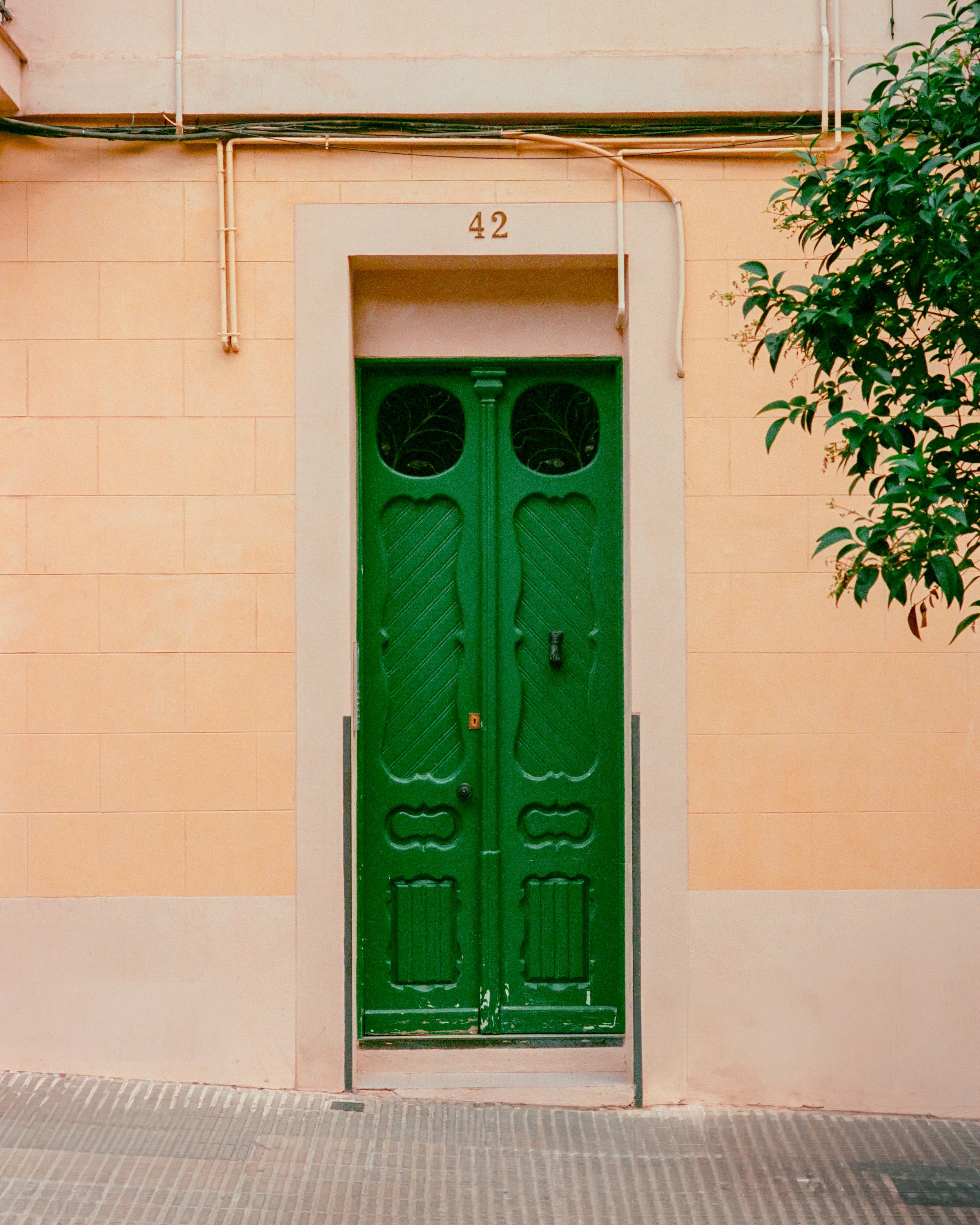 Green double door with decorative carvings and glass windows at the top, set in a peach-colored wall at building number 42, with a tree partially visible on the right side.
