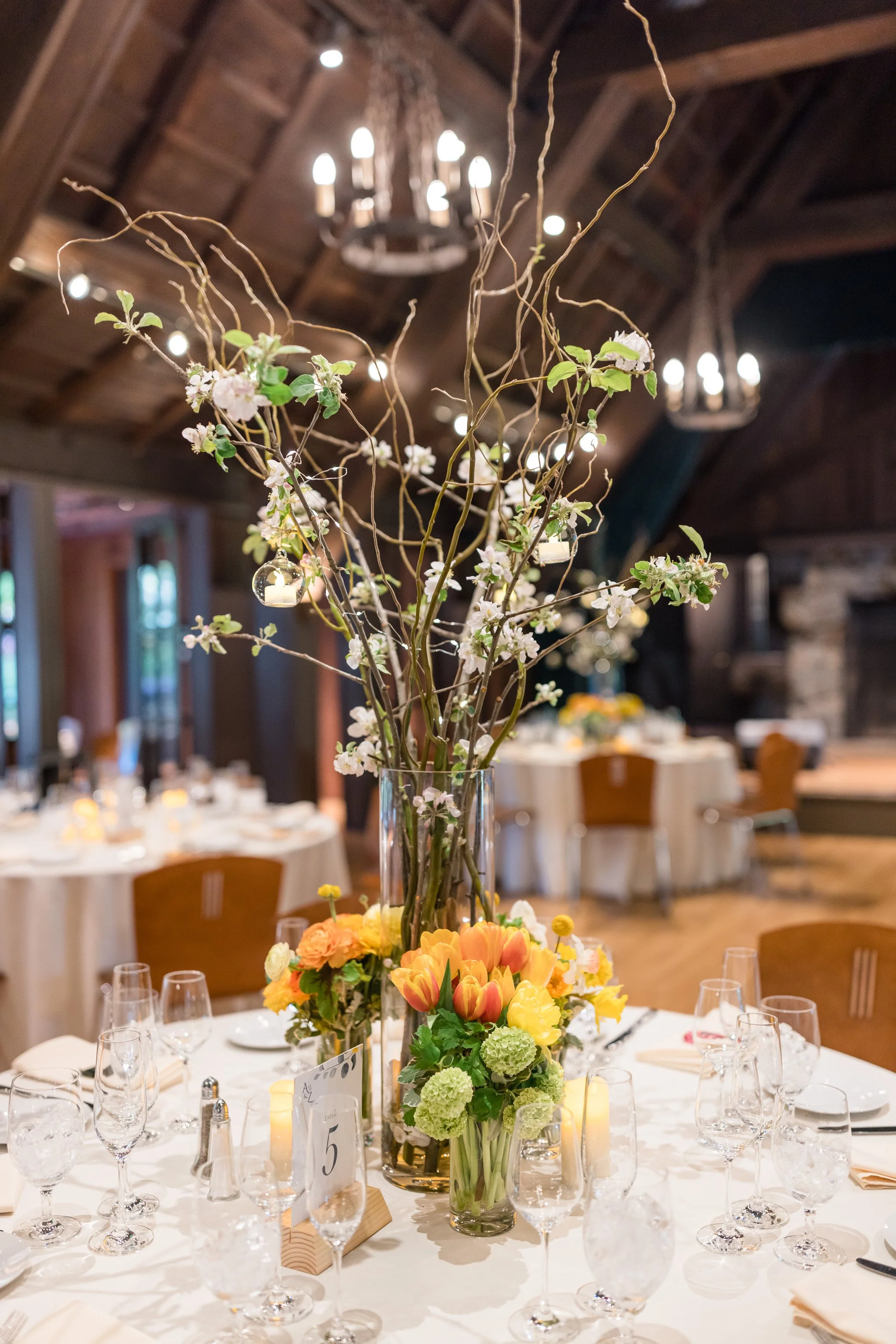 Apple Blossoms + More  $265.00