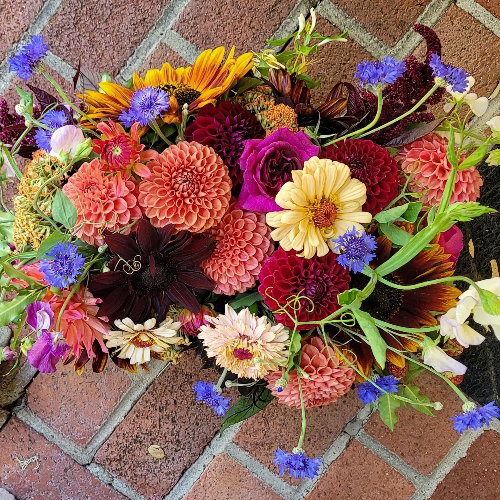 Dahlia Delivery $150.00  