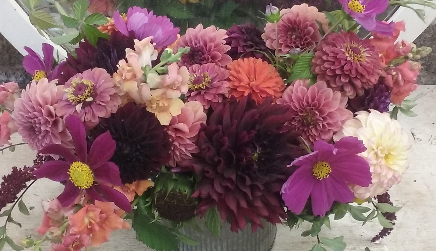 Sultry Dahlias $125.00 