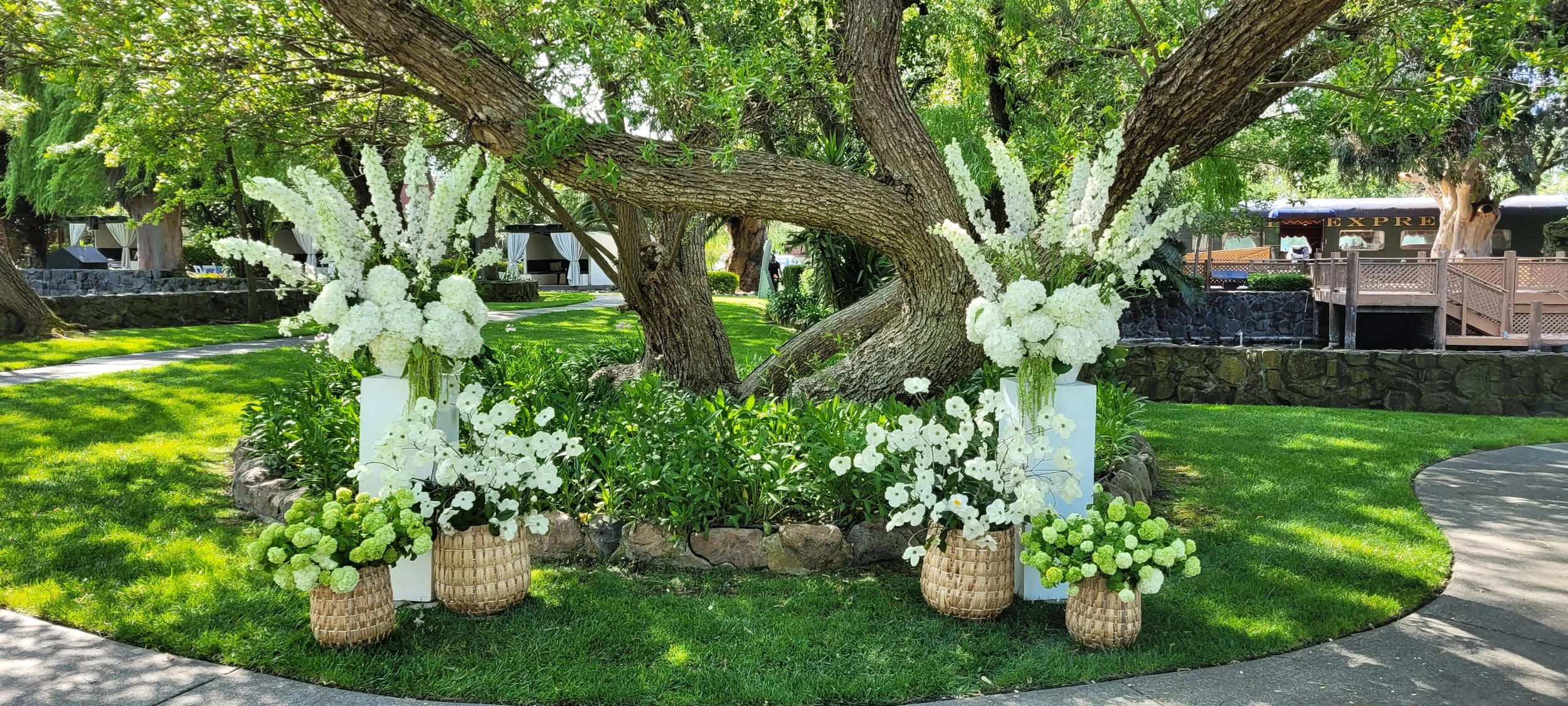 April 3, Cline Cellars