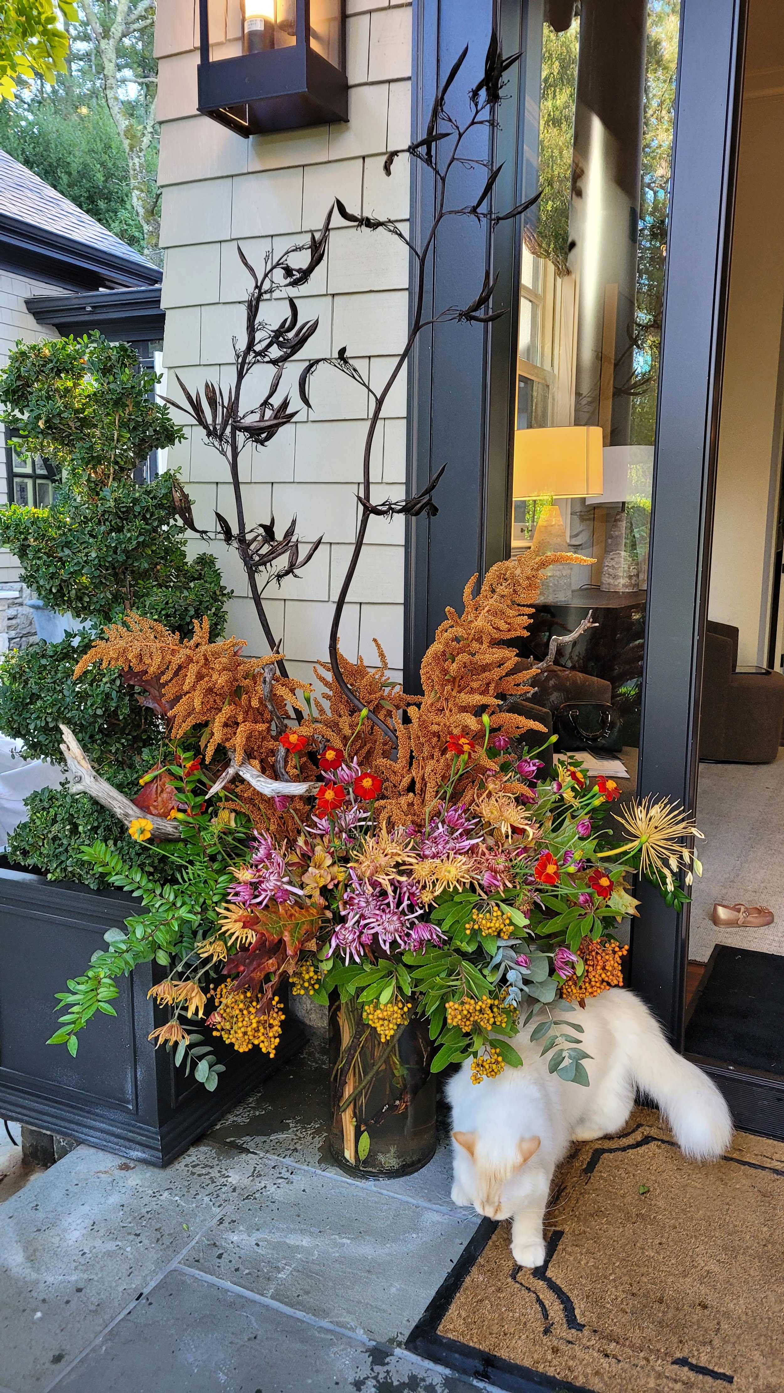 Amazing Amaranthus $300.00 