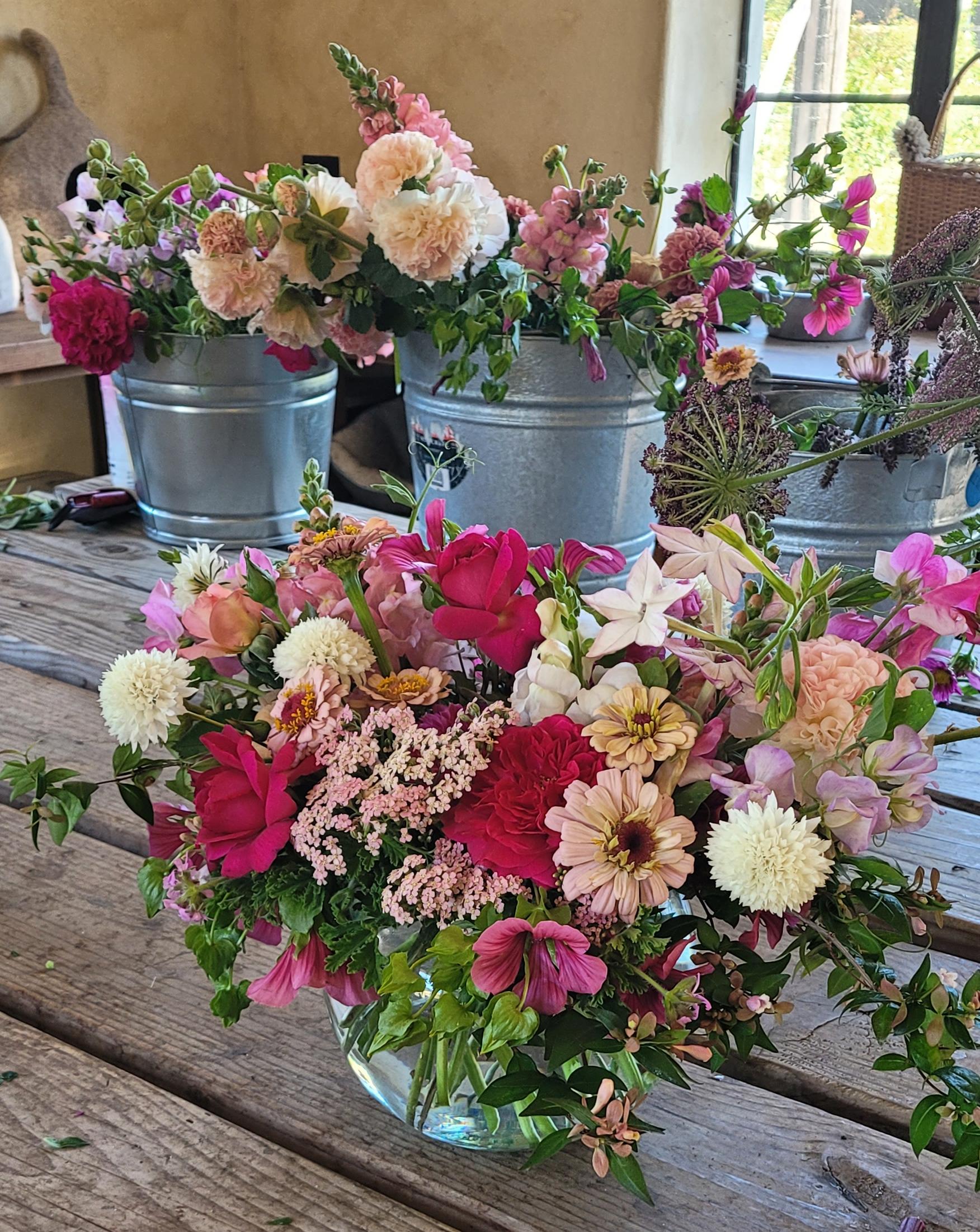 Just Harvested $95.00