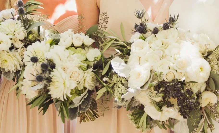 madelinewilsonphotography.com