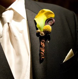 susanadlerphotography.com