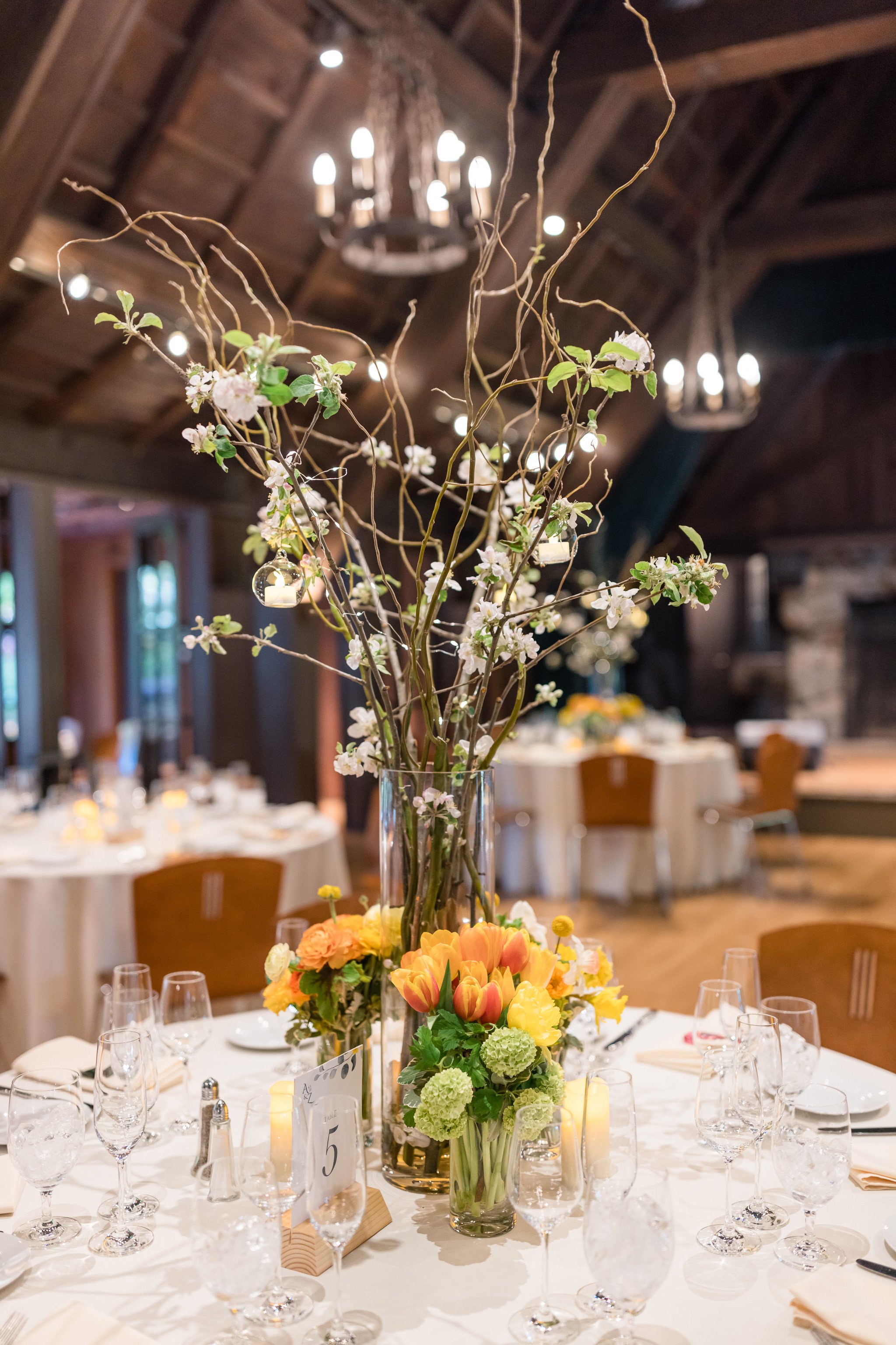 Apple blossoms + $225.00 