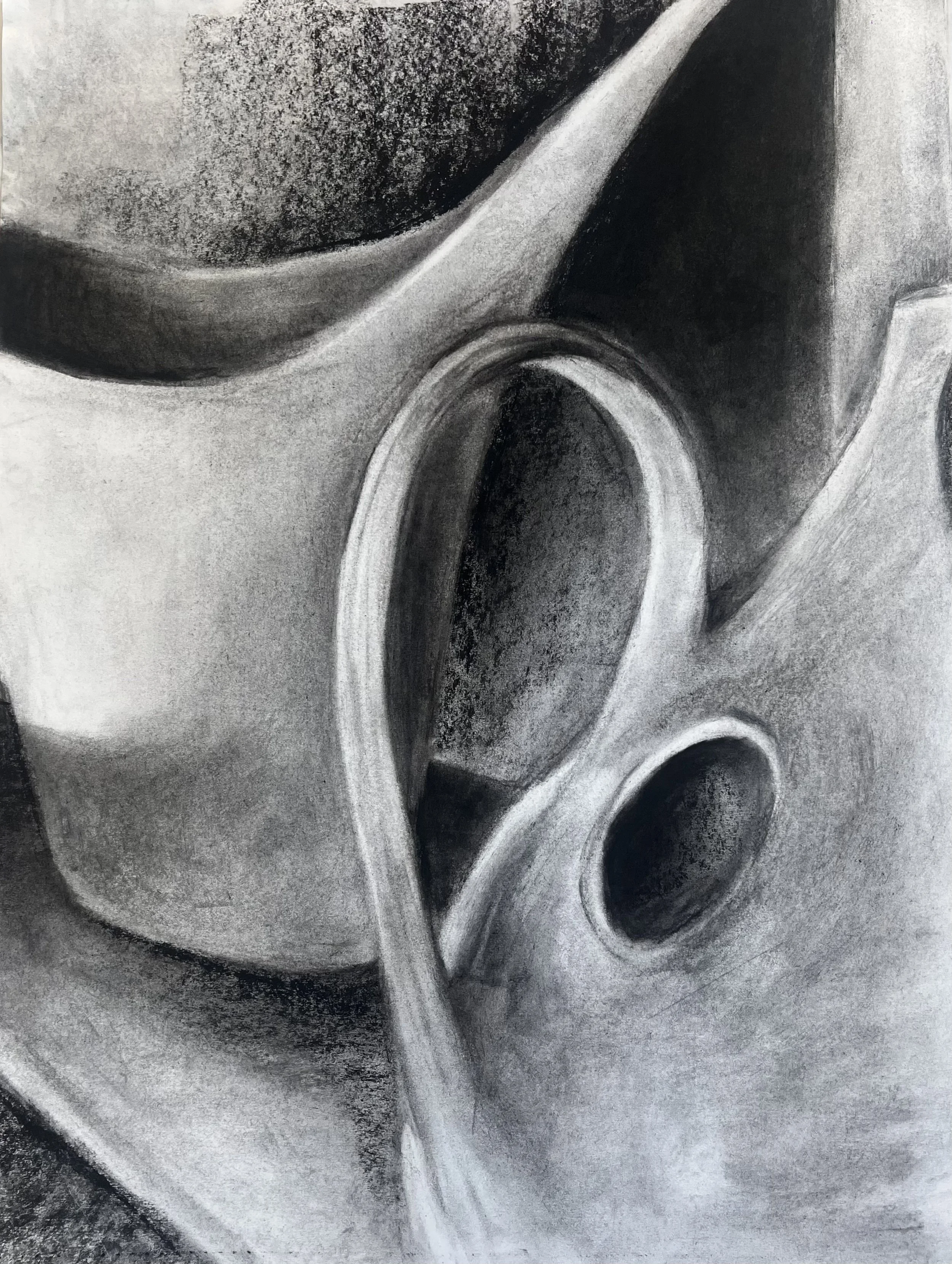 Still-Life Study, 2024 | Charcoal on paper