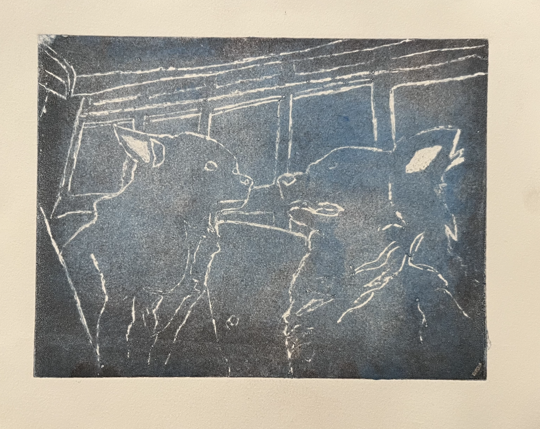 Line drawing of three cats sitting inside a pet store, looking at each other.