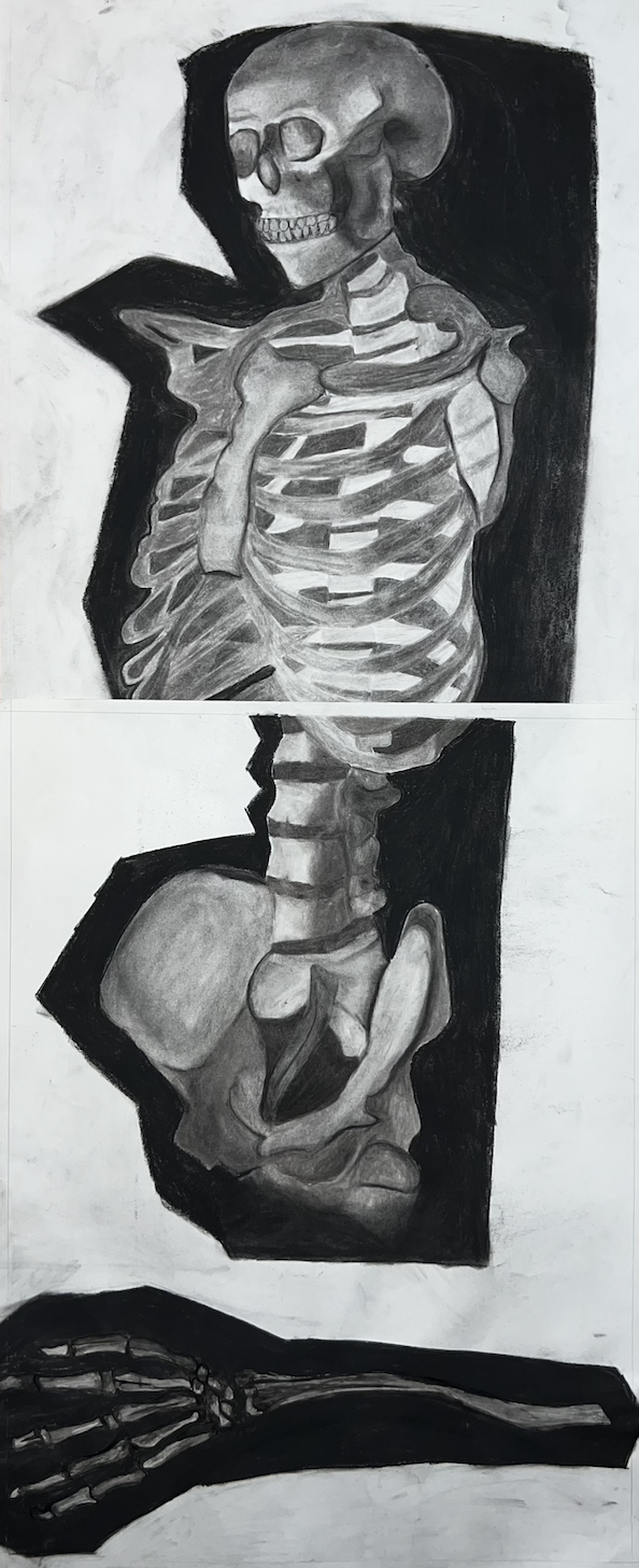 A black and white drawing of a human skeletal figure, with the skull and ribs prominently visible, split into three sections with dark backgrounds behind each part.