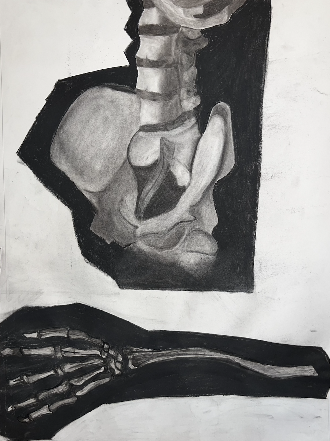 Black and white art of a human digestive system, including stomach, intestines, and skeletal hand.