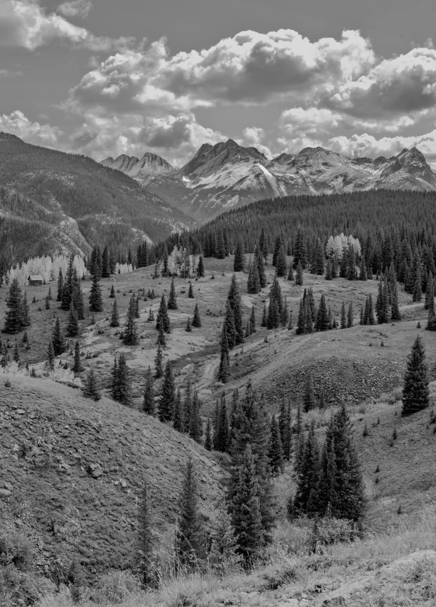 Molas Pass Cabin | San Juan National Forest, Colorado