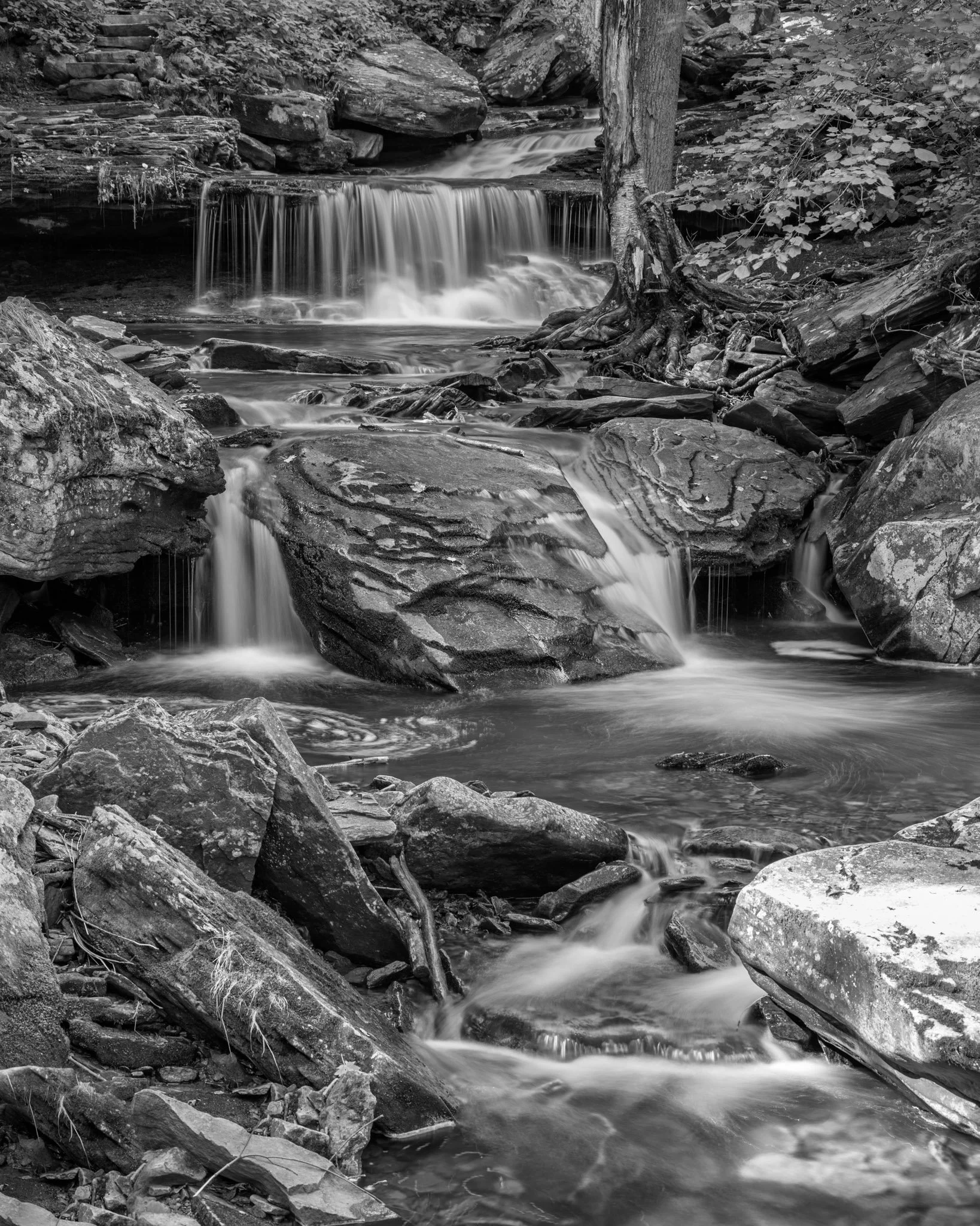 A Summer's Day | Ricketts Glen State Park
