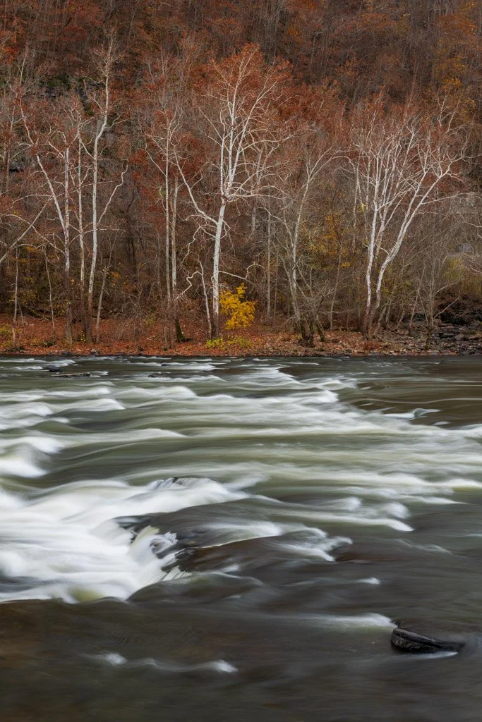 Cascading In Sandstones | New River Gorge National Park